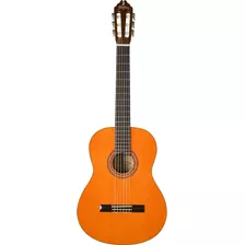 Guitarra Acústica Washburn C5 