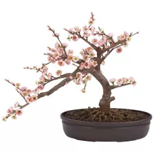 Casi Natural 4764 15 PuLG. Flor De Cerezo Bonsai Árbol De Se