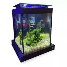 Kit Aquário Premium Completo Betta Blackbox Nano 10 Litros