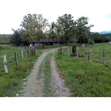 Se Vende Finca Ganadera En Puerto Boyacá 