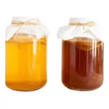 Scoby Pronto Kombucha E Jun Tea Liquido E Disco De 12 Cm 