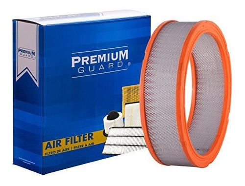 Foto de Pg Aire Pa3195 Filtro | Se Adapta A 1981 Buick Century, 1982