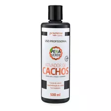 Ativador De Cachos Cabelos Afro 500ml Premisse Profissional