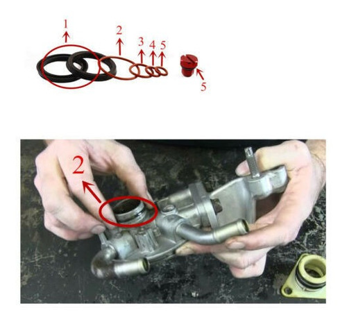 For Duramax Fuel Filter Head Rebuild Seal Kit With O-rin Saw Foto 8