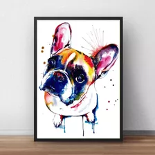 Quadro Decorativo Bulldog Francês Animais Moldur Vid 60x43cm