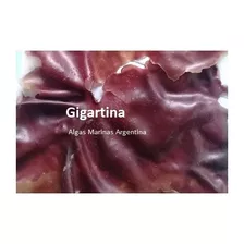 Alga Gigartina De Patagonia, Productores. 1/2 Kg.
