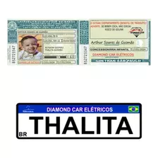 Placa Mercosul Personalizada Para Carrinho Elétrico + Cnh