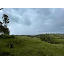 Finca En Venta Filandia Quindio