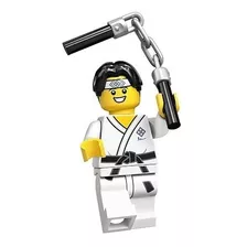 Lego Minifigures 71027 Série 20 Martial Arts Boy