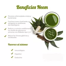 Hoja De Neem 100% Natural 