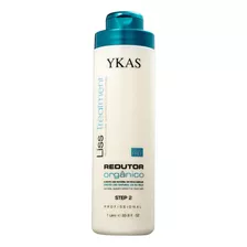 Ykas Liss Treatment Orgânico Passo 2 Redutor De Volume 1 L