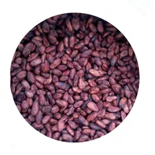 Cacao En Grano Tostado 100% Puro - Kg a $25000