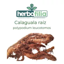 Calaguala Polypodiumleucotomos 1 Crema + 1 Extracto De 120ml