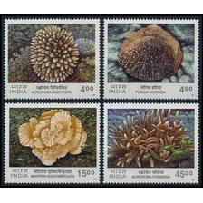 Fauna - Corales - India - Serie Mint