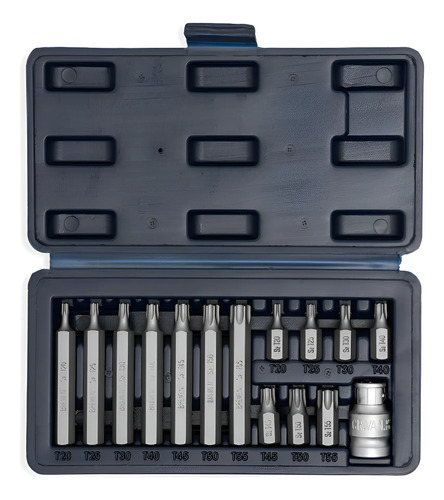 Juego Puntas Torx Bremen Cortas Largas 15 Pz 8307 Dgm