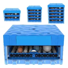 Pollos En Machala Incubadora 64 Huevos A07