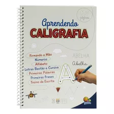 Aprendendo Caligrafia - Volume Único, De Belli Studio & Hardt, Priscila. Editora Todolivro Distribuidora Ltda., Capa Mole Em Português, 2017