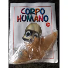 Corpo Humano Fasciculo 46 - Novo Lacrado Com A Peça - Salvat