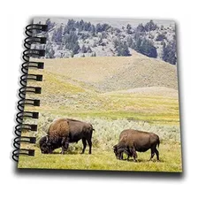 Cuadernos - 3drose Usa, Wyoming, Yellowstone Np. Two Buffalo