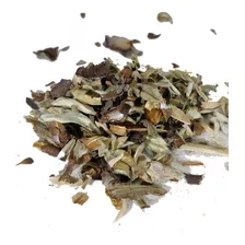 Hierba Medicinal Cepa De Caballo, Infusión, Te.