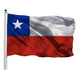 Segunda imagen para búsqueda de bandera chilena gigante