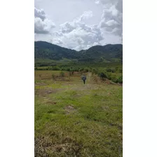 Venta De Finca En Santander Charala 300 Hectareas Negociable