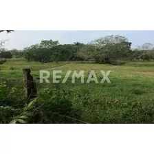 Rancho En Venta En Chalcomulco Veracruz 