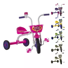 Velotrol Triciclo Infantil Feminino Motoca Tonquinha Menina