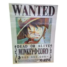Afiches Plásticos Poster 3d Holografico Anime One Piece