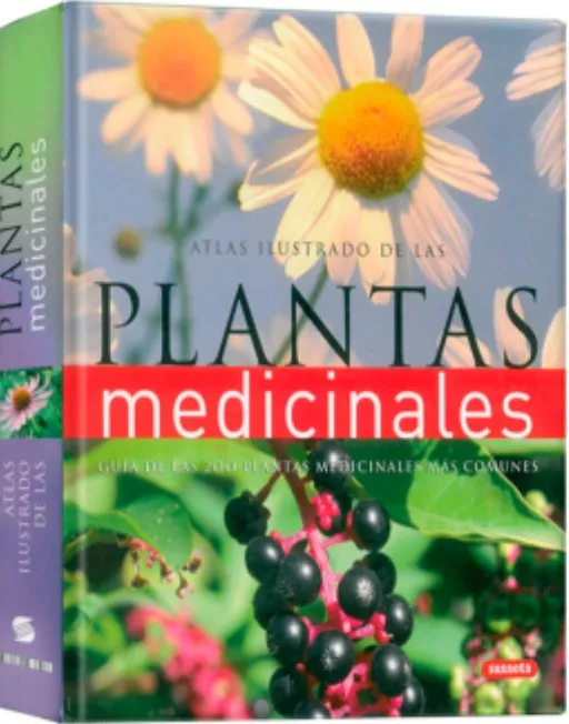 Atlas Ilustrado De Las Plantas Medicinales 