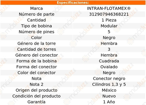 Bobina Modular Saturn Lw2 V6 3.0l 00 Intran-flotamex Foto 2