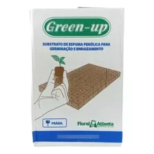 Caja Espuma Fenolica - Hidroponia - Kit Green Up Germinacion