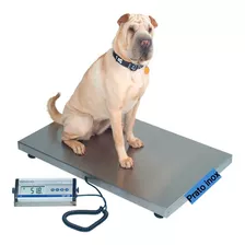 Balança Digital Pet Shop Veterinaria 70x50 200kg S/ Juros!