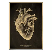 Poster Coração Humano Genérico Anatomia Preto 1 Unidade 