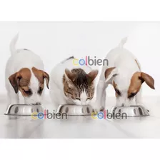 Comedero Acero Inoxidable Pequeño 18 Cm Mascotas Perro Gato