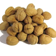 Nueces Con Cáscara X 1 Kg Nuez