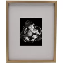 Champagne Gallery Frame16 X 20 Mate A 8 X 10