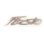 Emblema Ikon Ford Fiesta Cajuela
