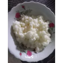 Kefir De Leche (hongos Para Realizar Yogurt)