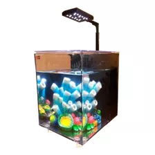 Acuario Completo Dophin Nano 7.6l Luz Led Filtro Betta Gamba 110v