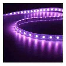 Fita Led 3528 Sem Silicone 5 Metros Roxo Tensão De Operação 12v 110v/220v