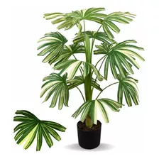 Planta Artificial Palmeira Raphis Real Toque