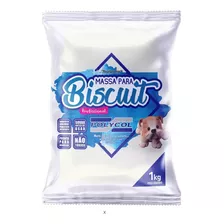 Massa Modelar Escultura Biscuit Porcelana Fria Branca 1kg 