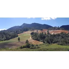 Vendo Finca En Constanza