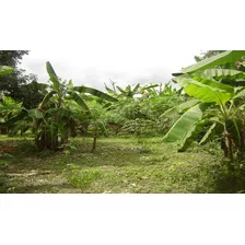 Terreno Con Casa En Trujillo Pampanito 3