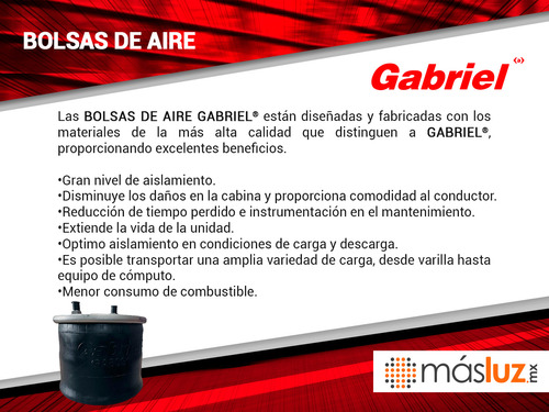 Bolsa Aire Tipo Recta Mack-volvo-navistar/fleetrite Gabriel Foto 4