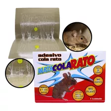 Kit 5 Adesivos Cola Rato Controle De Pragas Fácil Higiene