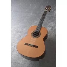 Guitarra Clasica De Concierto Paco Castillo 240 + Case