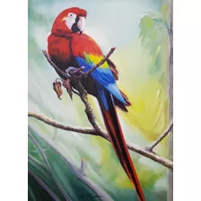  Arara Vermelha Ii Pintura Óleo Sobre Tela