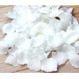 Segunda imagen para búsqueda de flores artificiales blancas